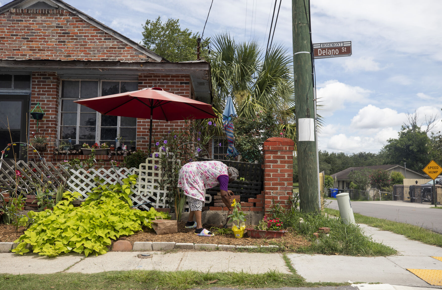 Rosemont Neighborhood Pearl Planting Sunflowers.JPG